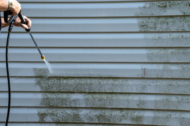 Best Weatherproofing and Sealing  in Twin Lakes, CA